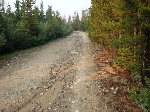 GDMBR: Road damage from last night’s rain storm.